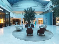 You Don't Want To Miss This caelum1infernum Actifit Report Card: January 9 2025