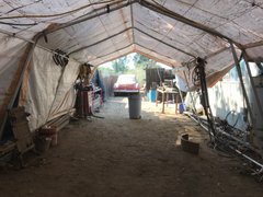 Dad’s 1950 Chevy - My Actifit Report Card: October 9 2021