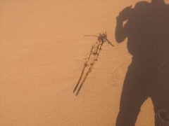 Sunday Outside Adventure: October 20 2024