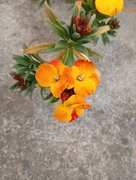 My Actifit Report Card: March 23 2026