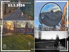 [EN/CZ] Like night and day : My Actifit Report Card: March 23 2026