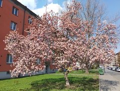 My Actifit Report Card: April 11 2026