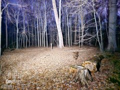 My Actifit Report Card: March 12 2026