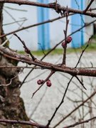 My Actifit Report Card: February 23 2026