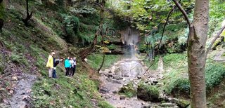 My Actifit Report Card: September 24 2025