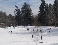 My Actifit Report Card: February 17 2026