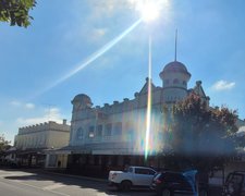 Road trip from Foster to Bombala - orchids near Bairnsdale : March 22 2026