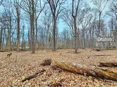 My Actifit Report Card: April 10 2026