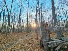 My Actifit Report Card: March 21 2026