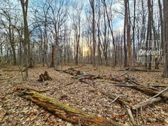 My Actifit Report Card: April 12 2026