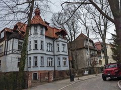 My Actifit Report Card: March 26 2025