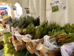 “Ummm……This Dude Wants To Pay With Bitcoin!”☺️ My Actifit Report Card: March 21 2026