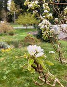 “Wake Me When Spring Returns!”😎 My Actifit Report Card: April 13 2026