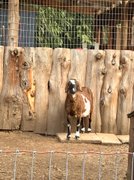 “Tag You Are It!”🤗 My Actifit Report Card: April 14 2026