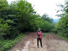 My Actifit Report Card: April 19 2025