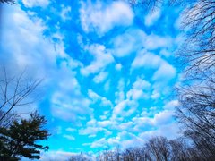 My Actifit Report Card: March 17 2026