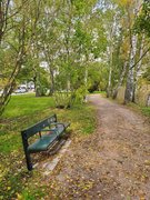 Afternoon walk with Aki