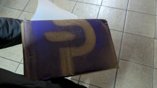 My Actifit Report Card: December 9 2025