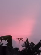 My Actifit Report Card: March 21 2026