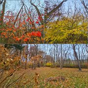 Beaujolais Nouveau! - My Actifit Report Card: November 20 2025