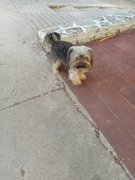 Mi informe de Actifit: marzo 29 2026