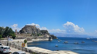 My Actifit Report Card: August 1 2025