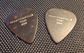 George Strait Guitar Picks! My Actifit Report Card: April 12 2026