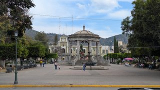 My Actifit Report Card: December 13 2025