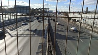 My Actifit Report Card: March 10 2024