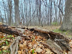 My Actifit Report Card: April 13 2026