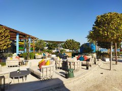 Beautiful Views And Sleepless Nights Make A Better Writer Actifit Report Card: February 27 2024