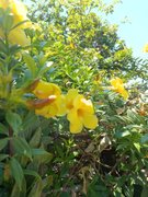 My Actifit Report Card: April 10 2026