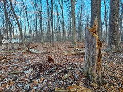 My Actifit Report Card: April 6 2026