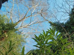 My Actifit Report Card: March 24 2026