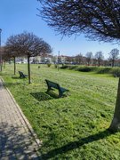 My Actifit Report Card: March 25 2026