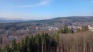 My Actifit Report Card: March 24 2026