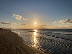 My Actifit Report Card: January 17 2022