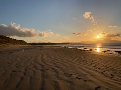 My Actifit Report Card: January 17 2022