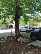 My Actifit Report Card: March 24 2026