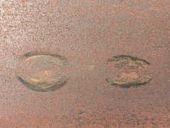 Big Tubes! My Actifit Report Card: October 1 2025