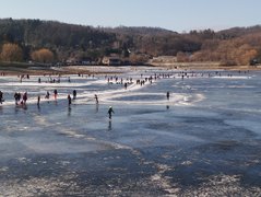 My Actifit Report Card: January 19 2026