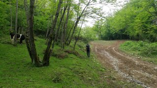 My Actifit Report Card: April 19 2025