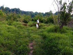 My Actifit Report Card: April 22 2025