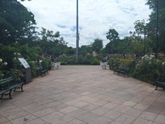 My Actifit Report Card: April 1 2026