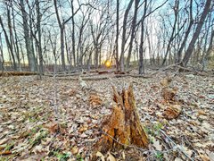 My Actifit Report Card: April 8 2026