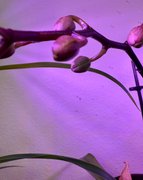 Things Are Looking Up! 😁…….My Actifit Report Card: March 19 2026