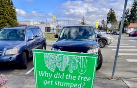 A Tree Adventure! 🌲🌳………….My Actifit Report Card: March 21 2026