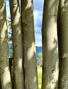 I Can See For Miles!…….My Actifit Report Card: March 25 2026