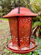 Slice And Dice! 🙀………..My Actifit Report Card: March 31 2026