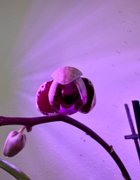 When I Got To Work……..My Actifit Report Card: April 1 2026